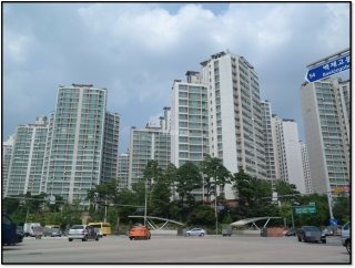 스트레스 DSR 뜻 이란