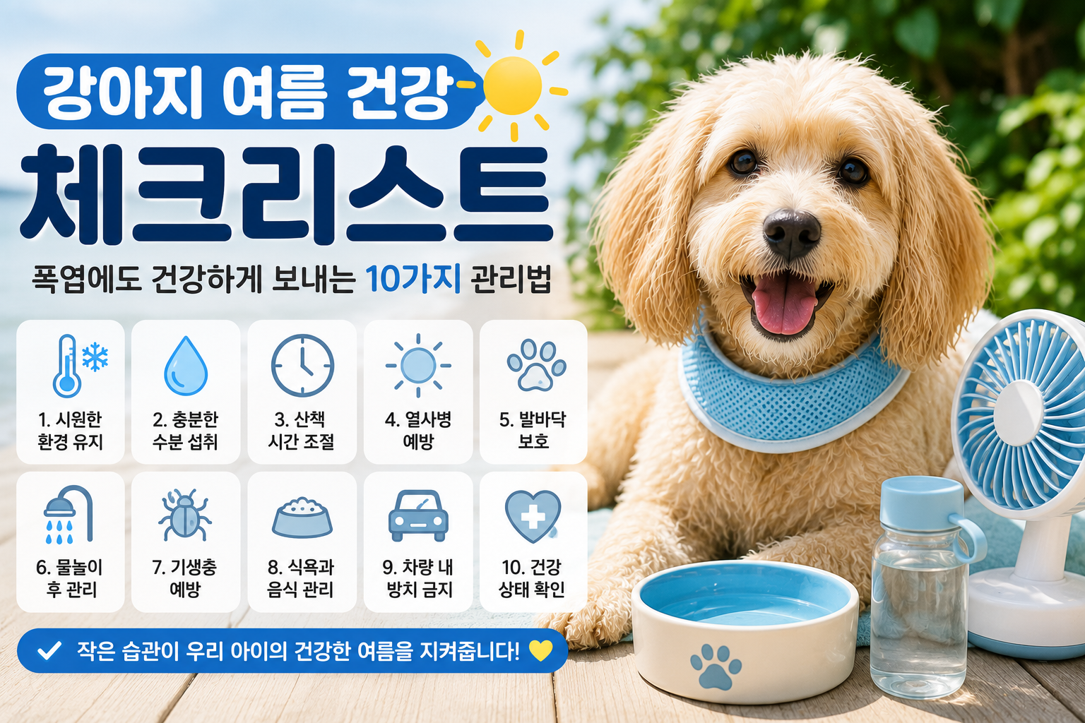 강아지 여름 건강 체크리스트|폭염에도 건강하게 보내는 10가지 관리법