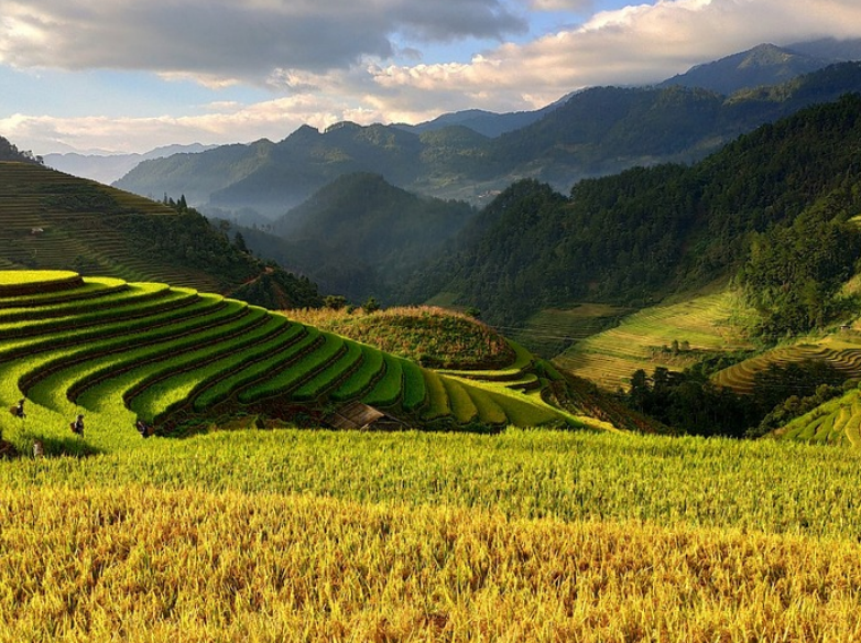 농업과 블록체인 (농업 관련 사진)
