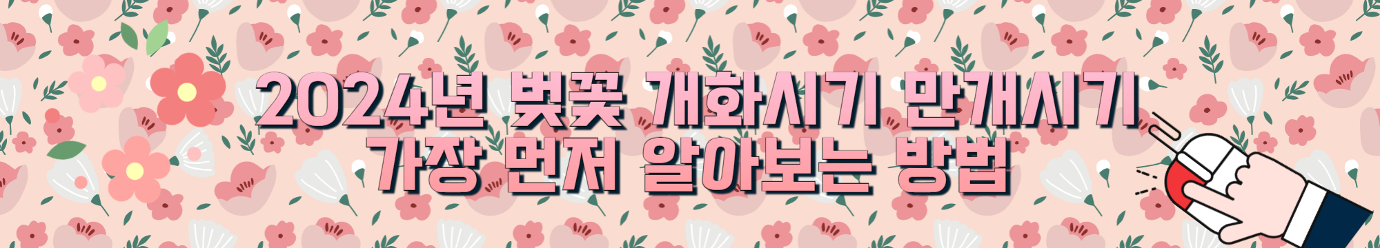 벚꽃 개화시기 만개시기 가장 먼저 알아보는 방법