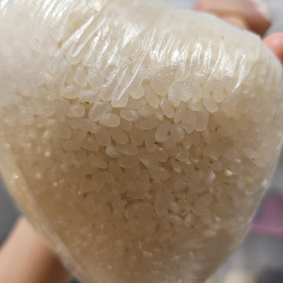 쌀벌레 없애는법과 생기는 이유 