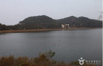 진부령 자연휴양림 위치, 예약, 숙소주변관광지 총정리! 2026 오픈 소식