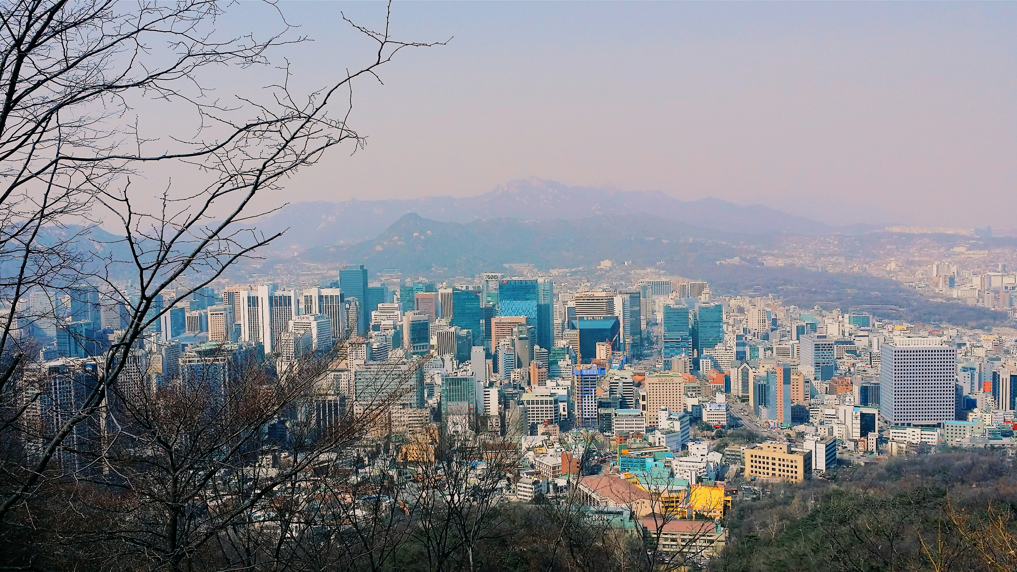 2026 -충북- 괴산군- 민생지원금- 신청방법-총정리- 지급대상&middot;신청기간&middot;사용처 완벽 가이드-1