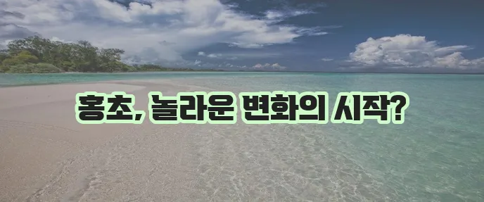 홍초 효능은 물론 구취와 다이어트 효과까지 챙겨보세요!
