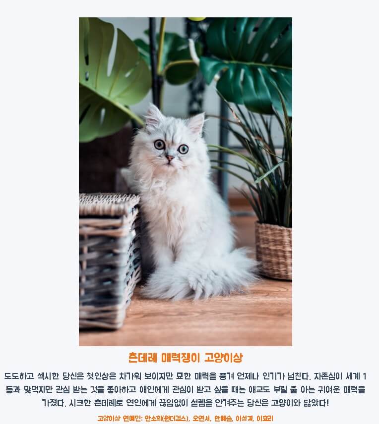 TISTORY TISTORY