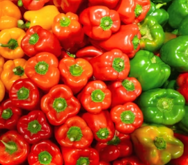 천식에 좋은 음식 영양제 식단