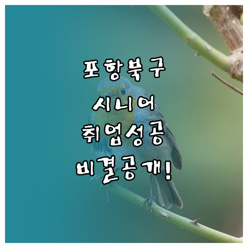 포항시 북구 시니어클럽 사회복지사 역..