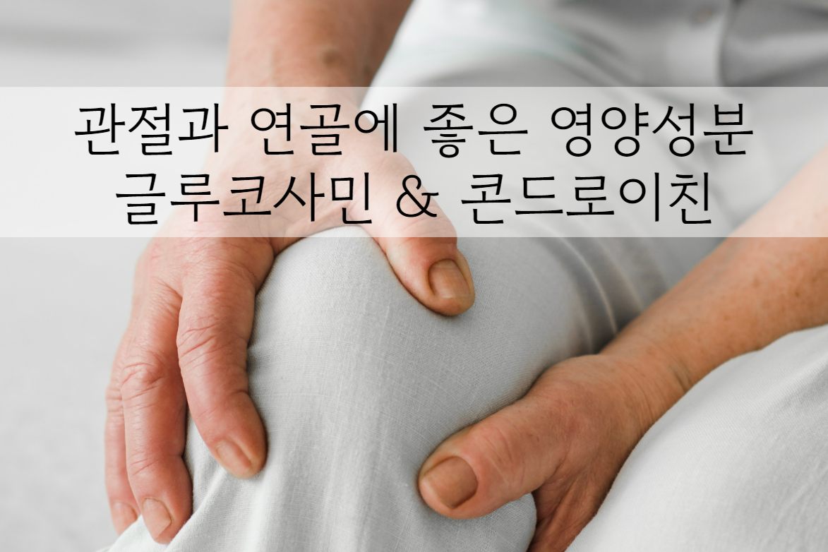 관절과 연골에 좋은 영양성분