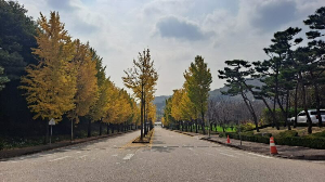 화성_우리꽃식물원_국화전시회