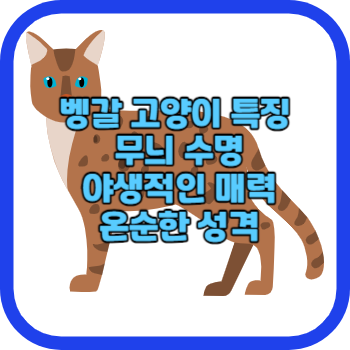 벵갈 고양이 특징 무늬 수명 야생적인 매력 온순한 성격