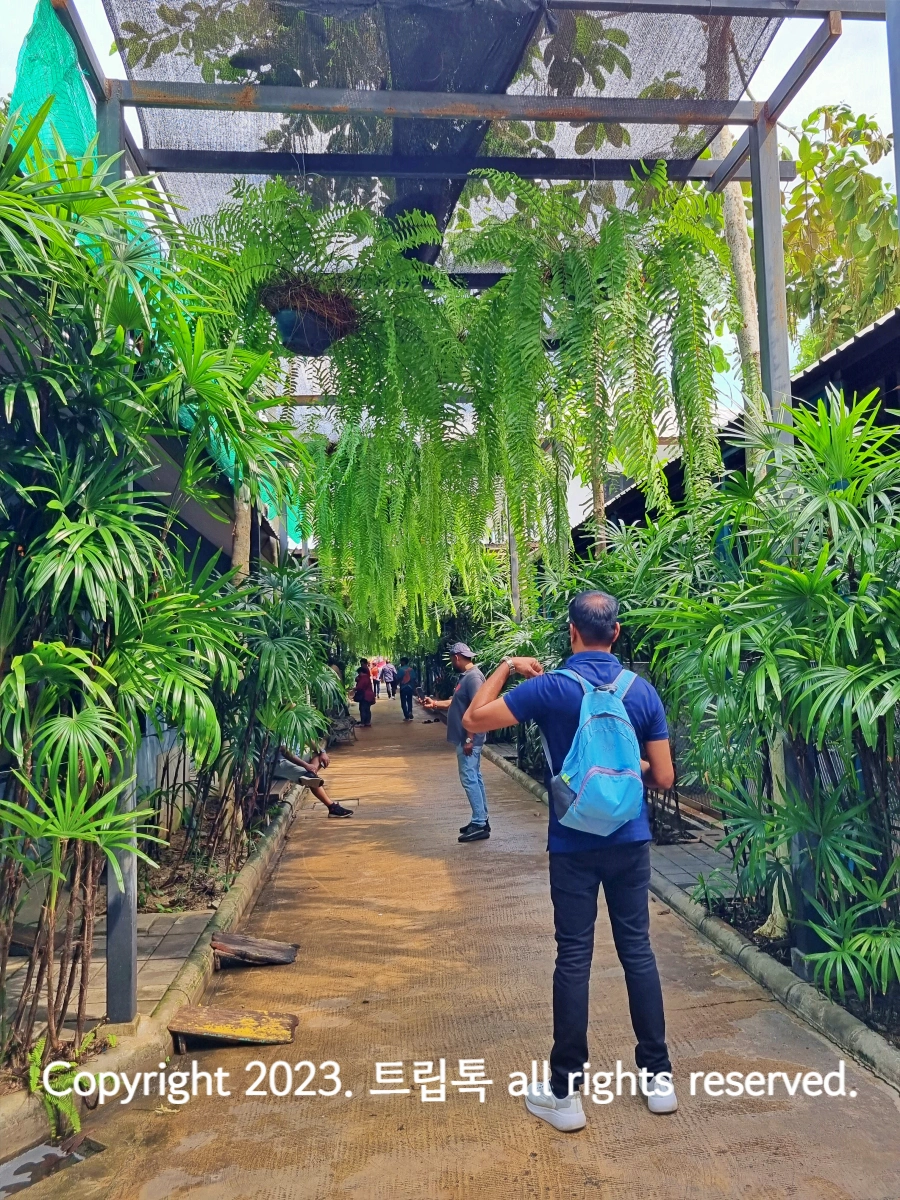 양옆과 천장까지 푸른 풀로 장식된 길에서 2사람이 서있다.