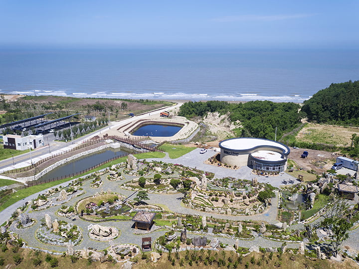 목련축제 - 뮤지엄파크