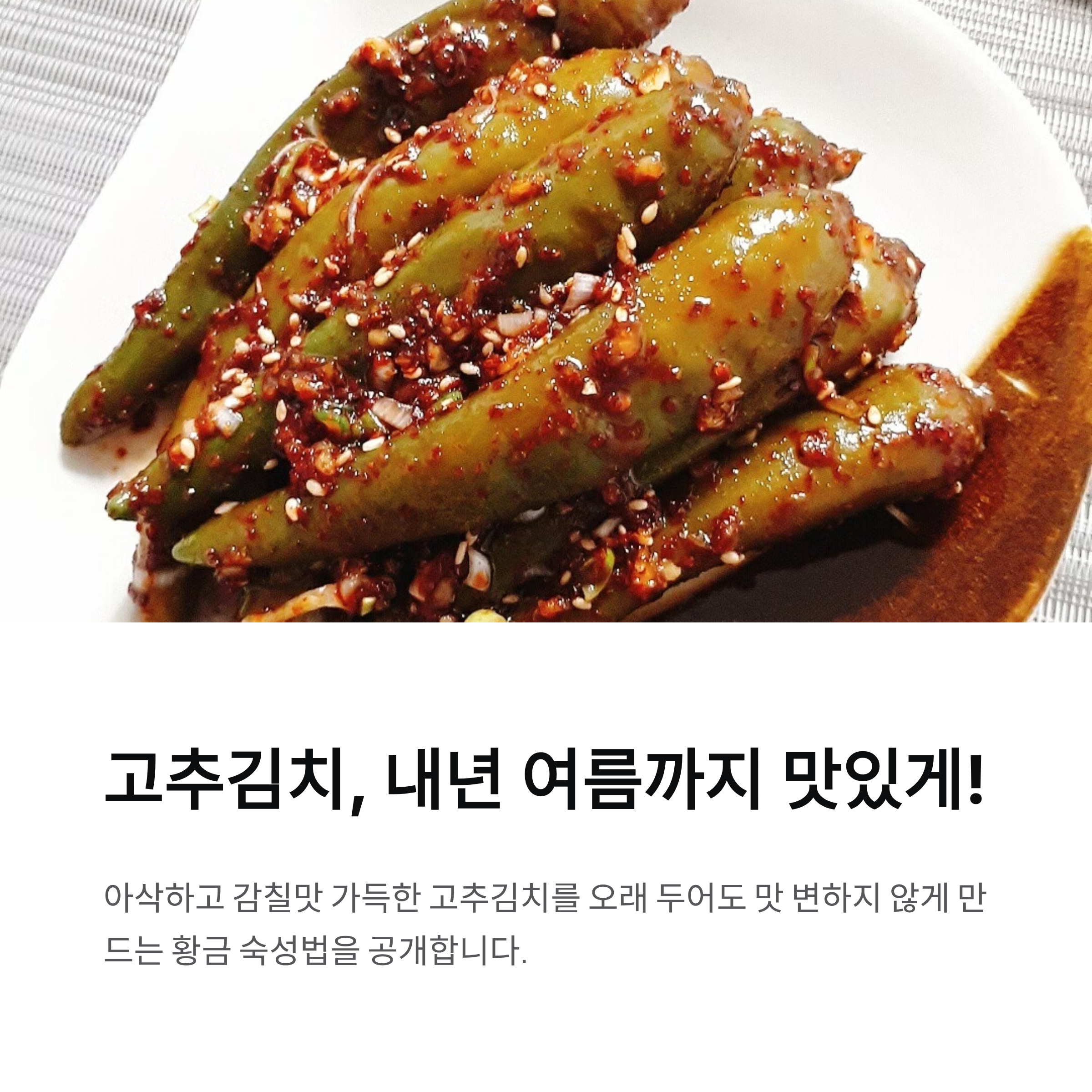 고추김치, 이렇게 삭혀야 제맛! 내년 여름까지 맛있게 먹는 양념 비법 공개