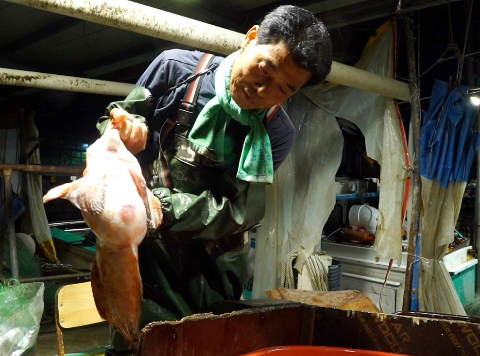 한국기행-고성-물곰-왔드래요-물곰탕-강동호식당