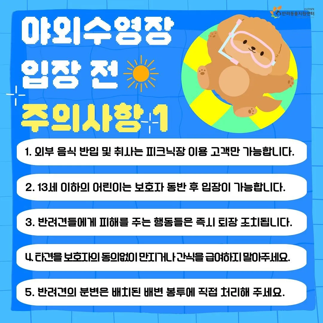 밀양 강아지 수영장