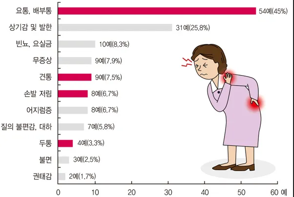 갱년기 증상