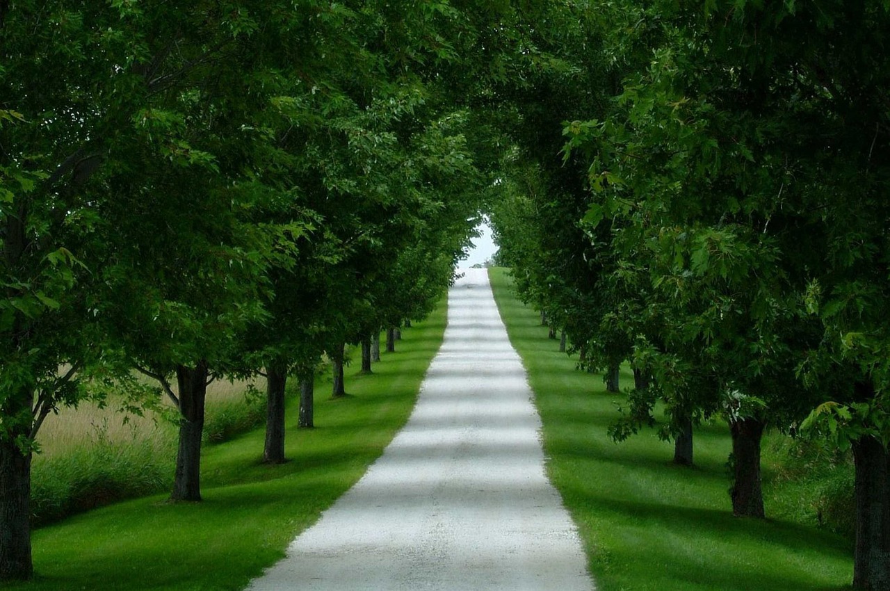 CBAM에 대응하기 위한 LCA 구축 방법 관련 사진