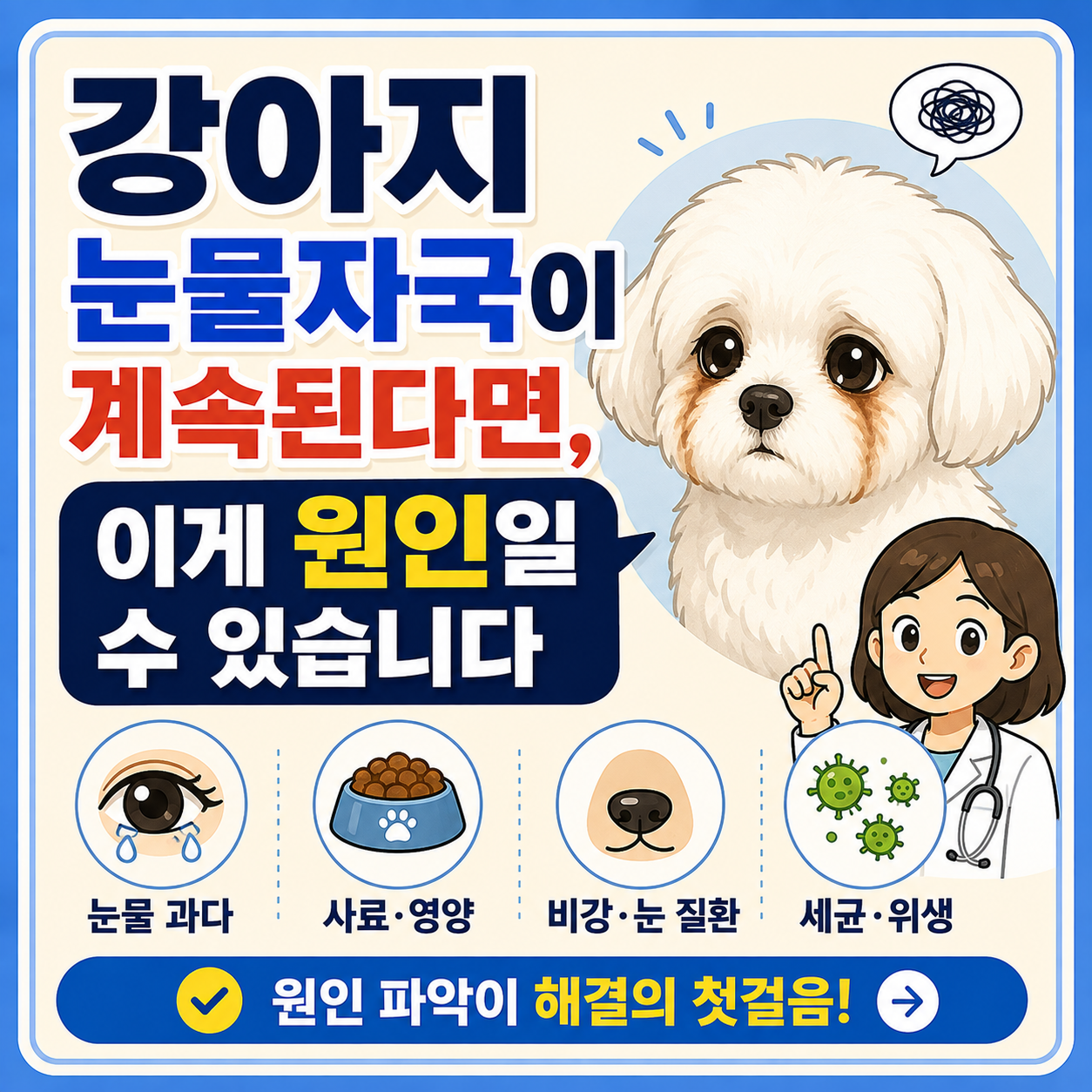 강아지 눈물자국