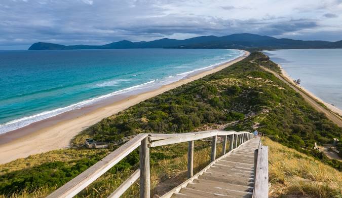 태즈메니아여행 관련사진