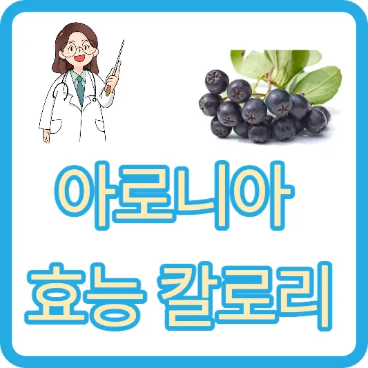 아로니아 효능 아로니아 하루견과 아로니아즙 칼로리