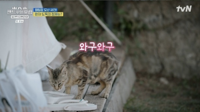 텐트 밖은 유럽 로맨틱 이탈리아 5회 카프리 푸른 동굴&amp;#44; 코르니첼로