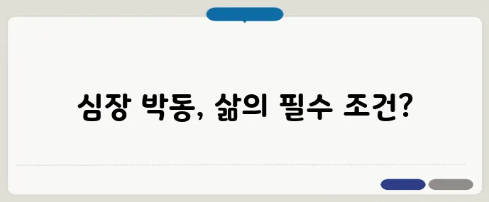 심장박동기 역할과 수명 (2025 필수정보)