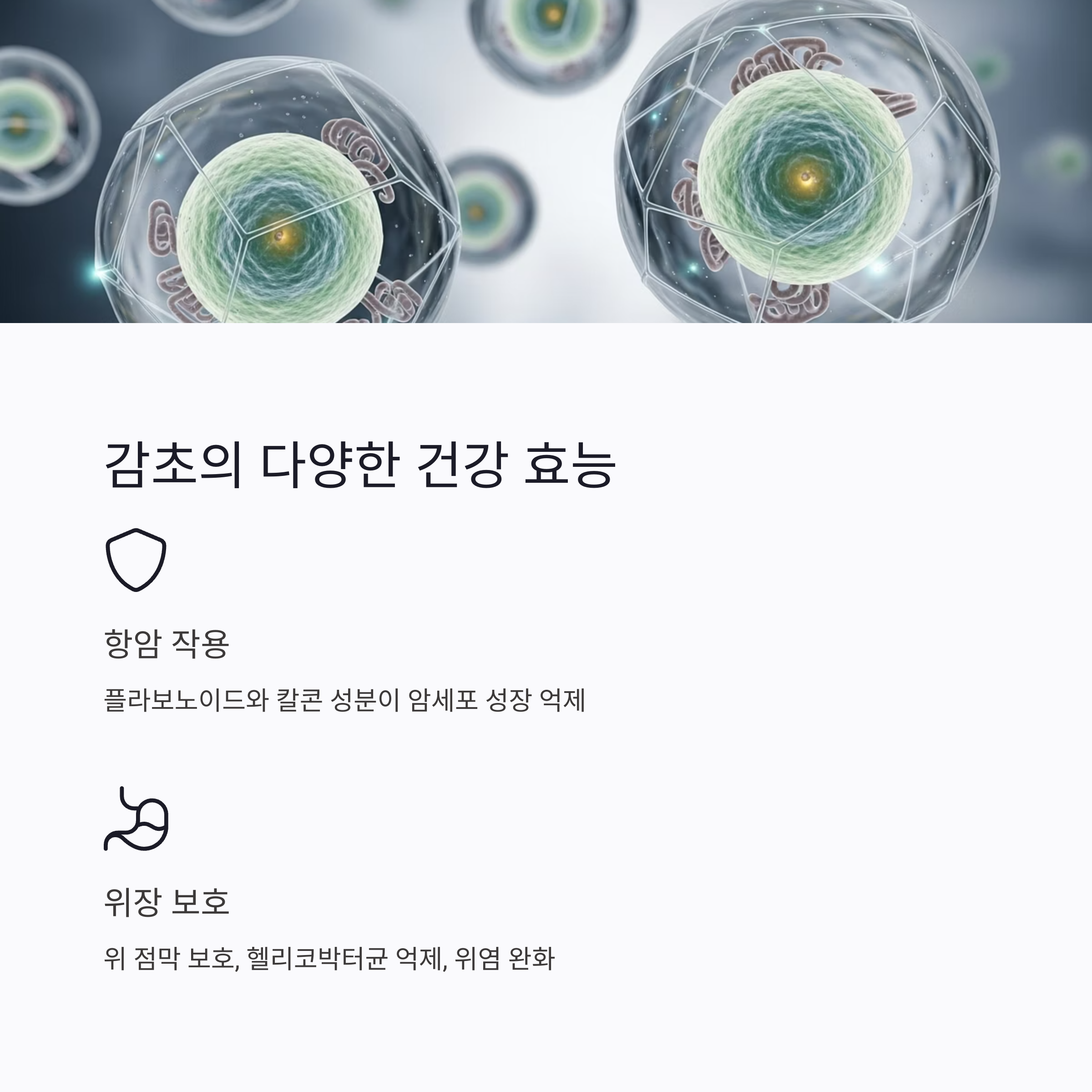 감초의 다양한 건강 효능