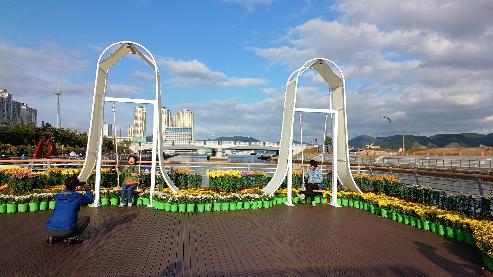 마산국화축제367