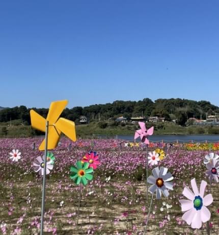 부여 가볼만한곳 베스트 10