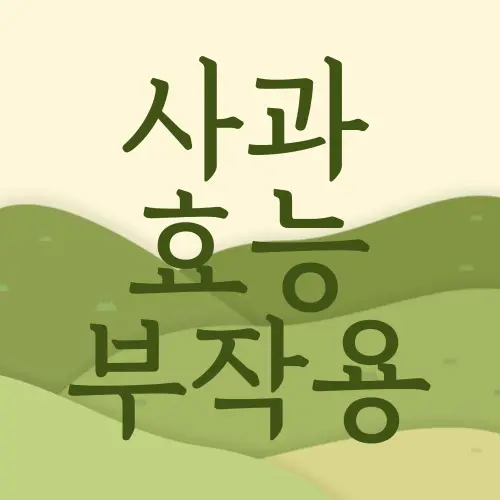 사과 효능 부작용