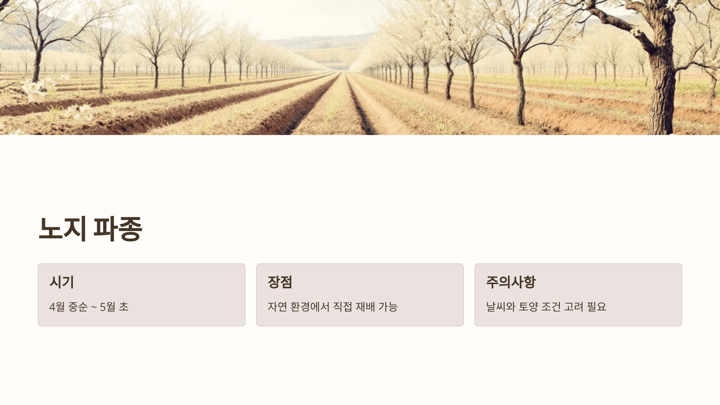 도라지 사진입니다.