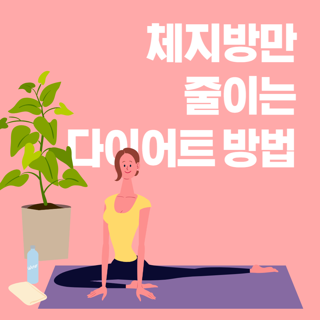 체지방 줄이는 다이어트 방법 썸네일
