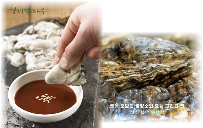 굴에 포함된 영양소와 효능 그리고 굴 섭취 시 주의사항