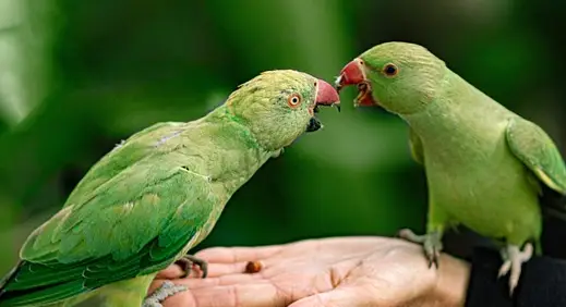아빠 육아휴직 장려금 신청 방법