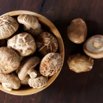 표고버섯 효능_5