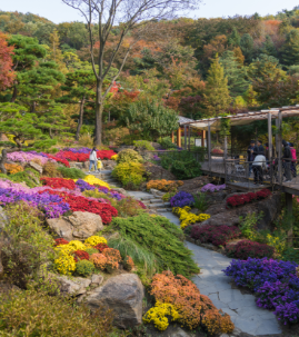 화담숲 예약 모노레일 예약 관람방법