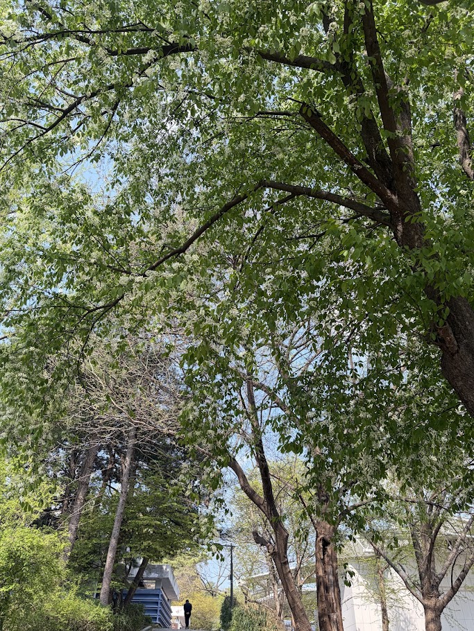 추억의 어린이대공원