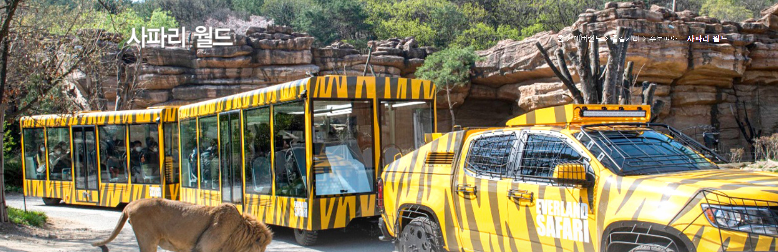 에버랜드 사파리 월드 꿀팁 (예약, 트램 좌석), 자유이용권 할인