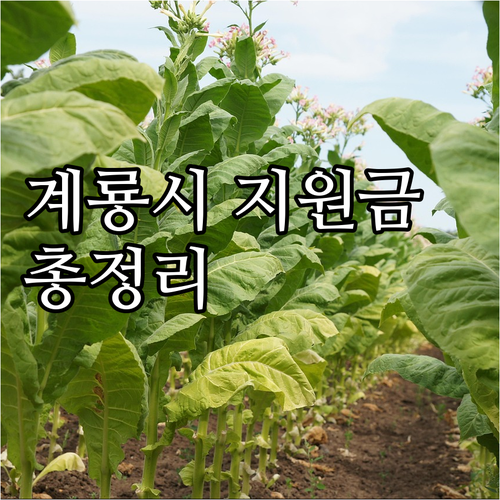 2025년 계룡시 저소득 주민 생활 ..