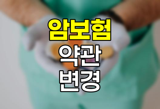 2024년 4월 암보험 약관 변경의 핵심 내용과 영향