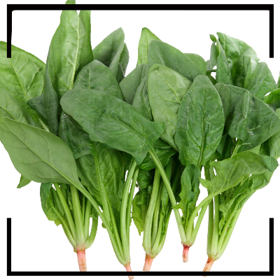 여성 갱년기에 좋은 음식