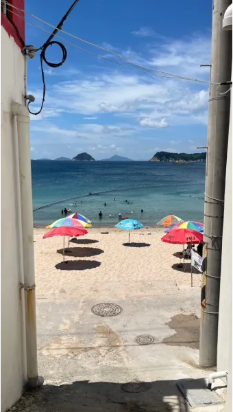 비진도 배시간표 예매 요금 배편 예약_5