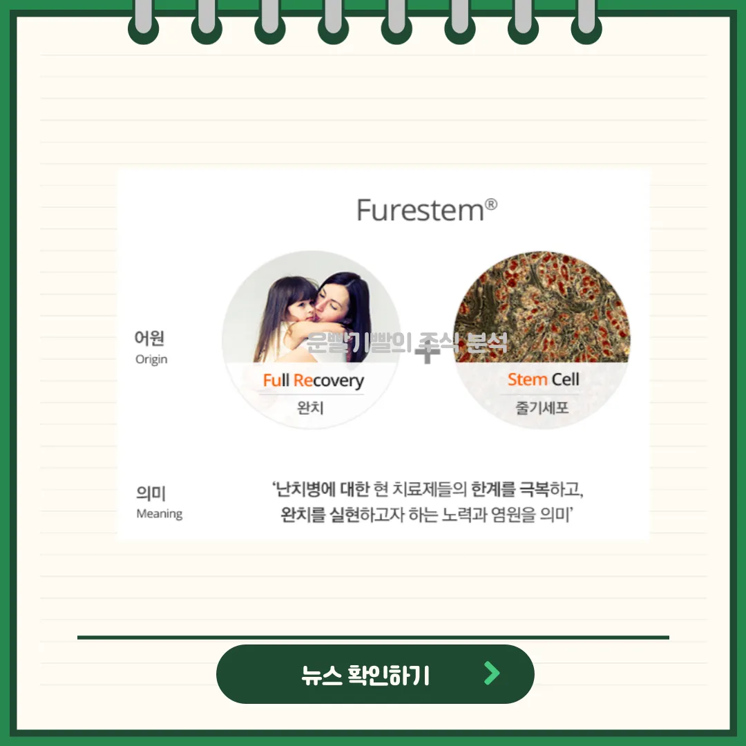 강스템바이오텍 뉴스