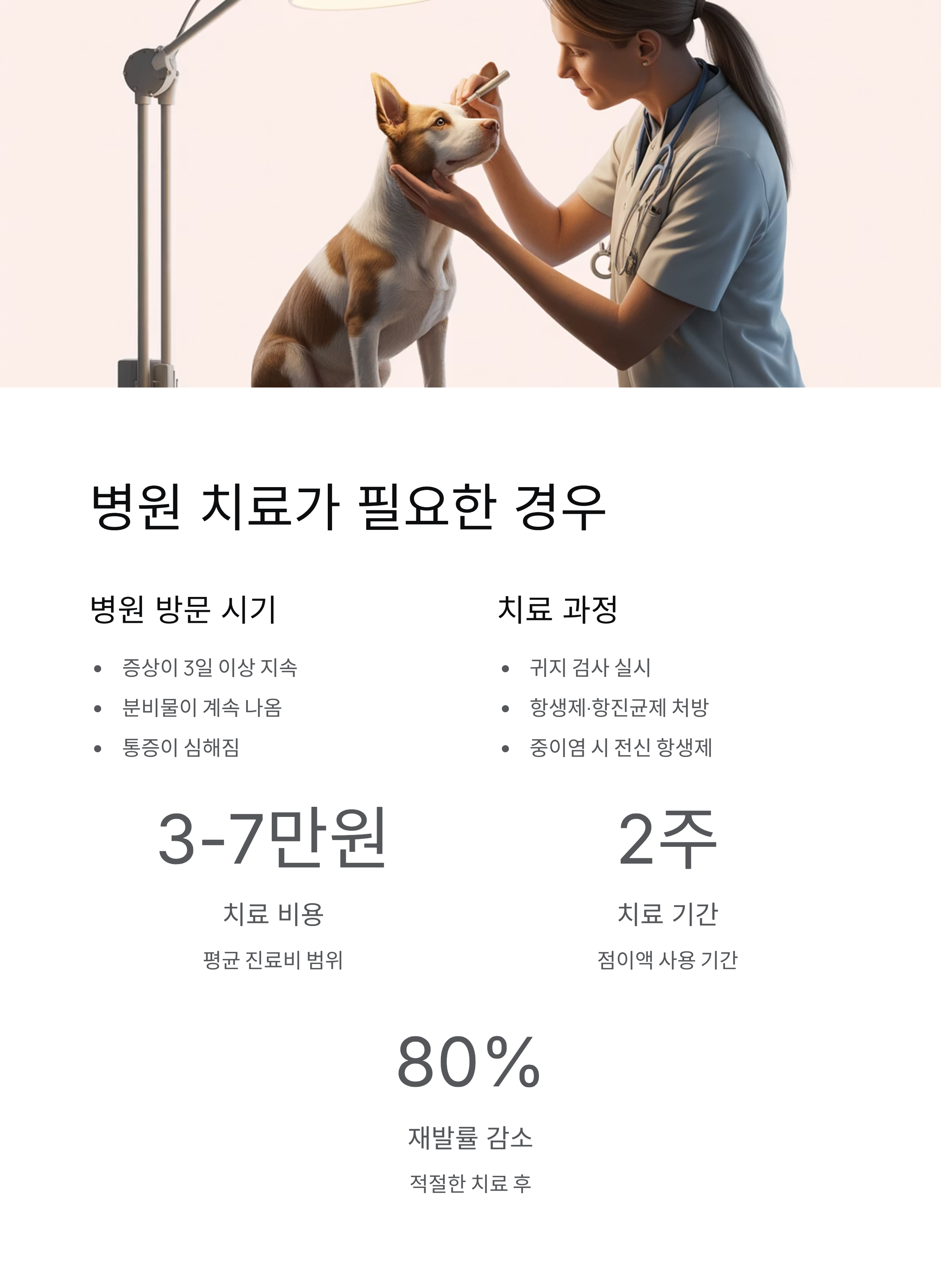 강아지 외이염 100% 해결! 집에서 3일 만에 좋아지는 비법