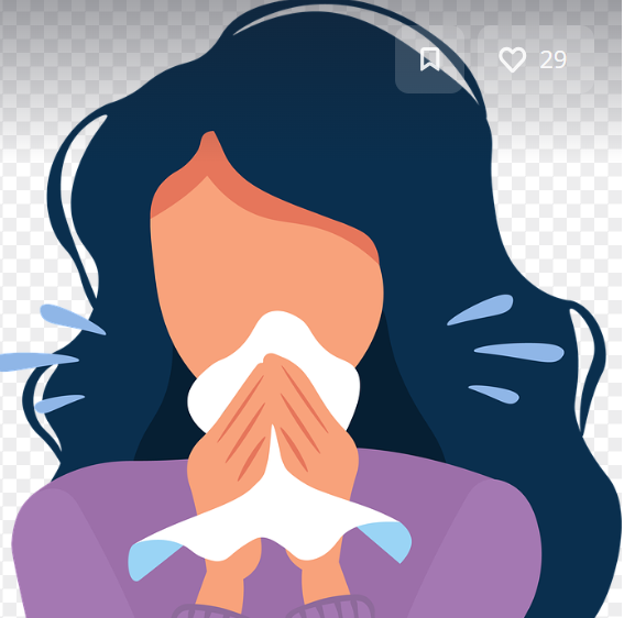 프로폴리스의 항염 작용