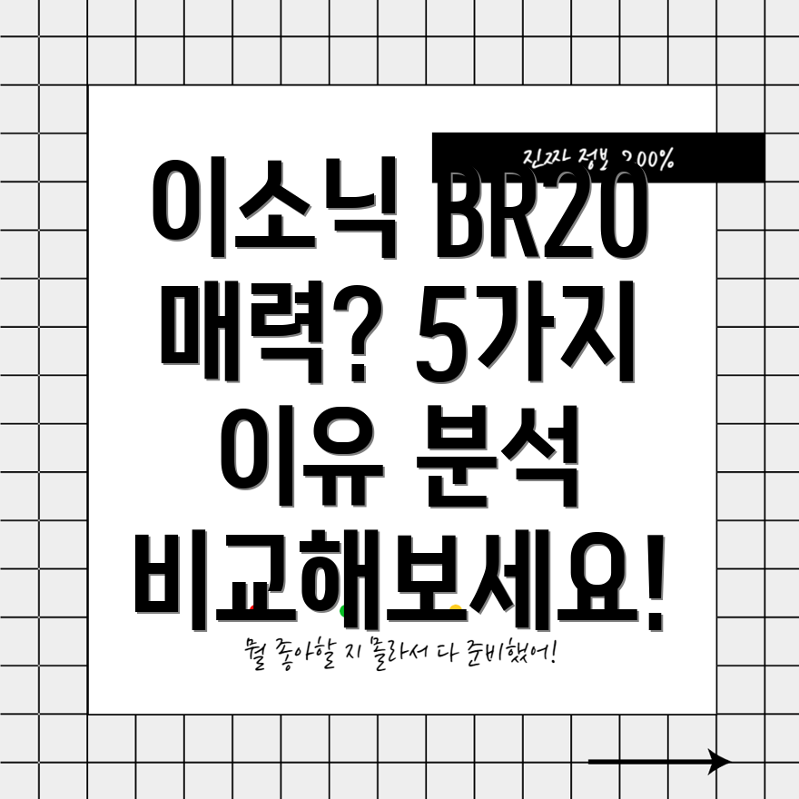 이소닉BR20매력적인이유5가지깊이분석비교