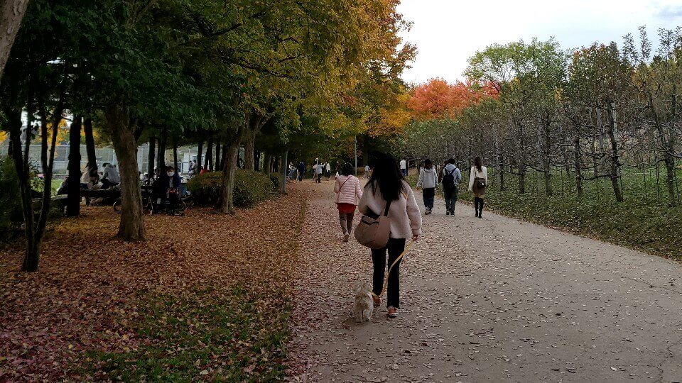 강아지와 서울숲을 산책하는 모습