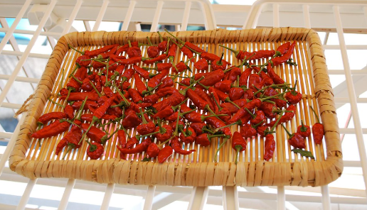 페페론치노_부작용