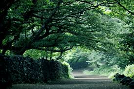 제주도 가볼만한 곳 베스트 10 추천 여행코스 볼거리