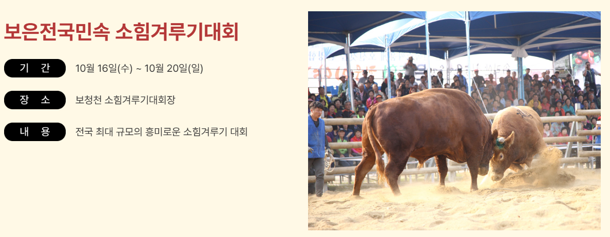 겨루기대회